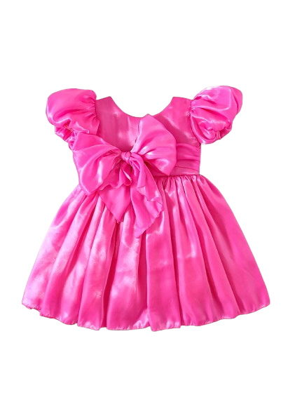Carolina Organza Dress- Fuchsia Pink 💗💗FREE CLIP