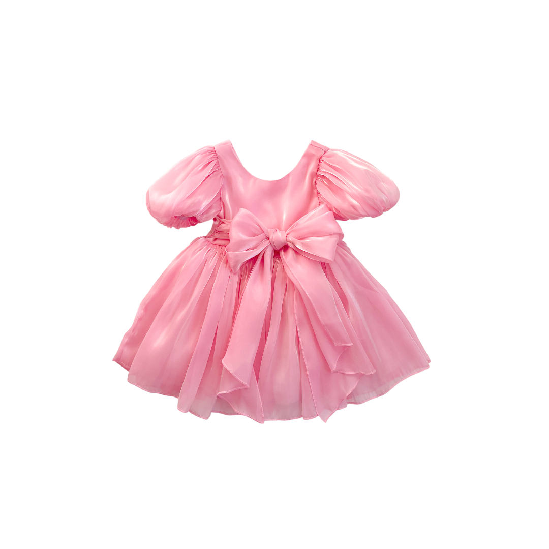 Carolina Organza Dress- Pink