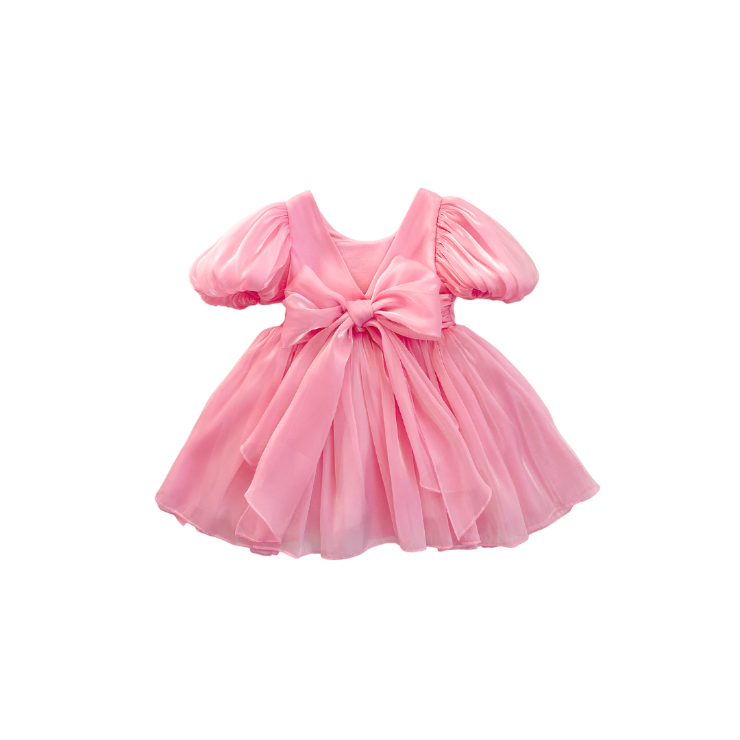 Carolina Organza Dress- Pink