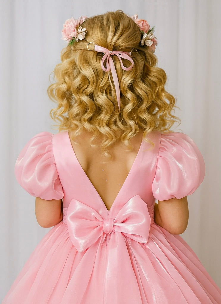 Carolina Organza Dress- Pink