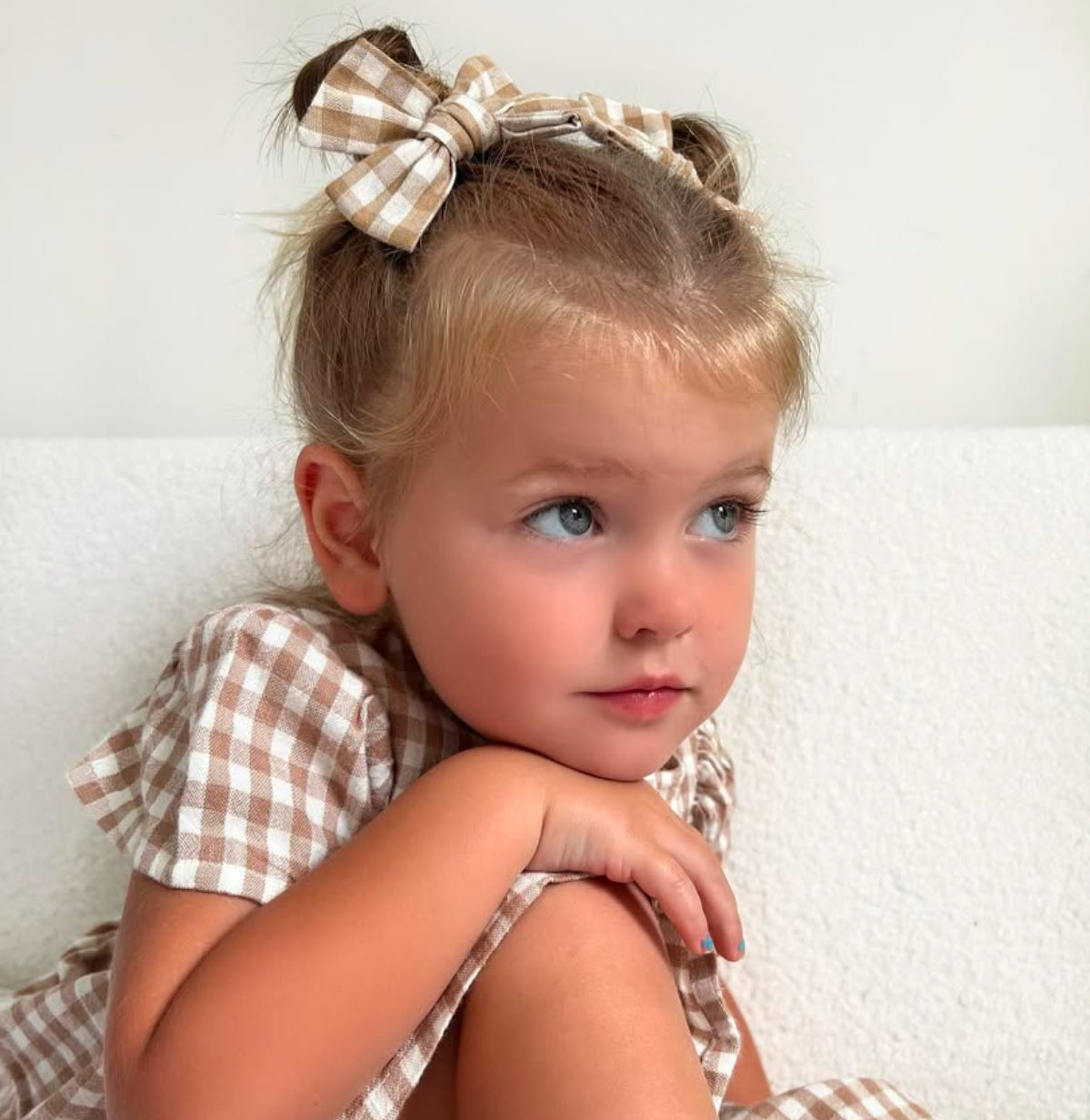 Gingham check hair clip Set