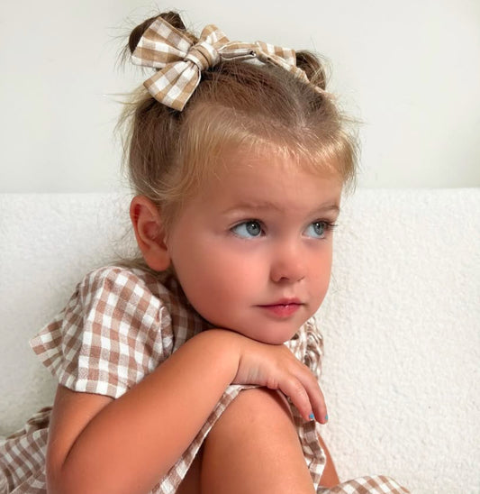 Gingham check hair clip Set