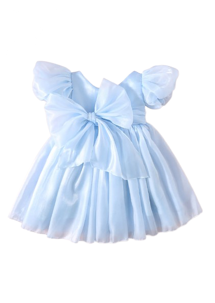 Carolina Organza Dress- Blue
