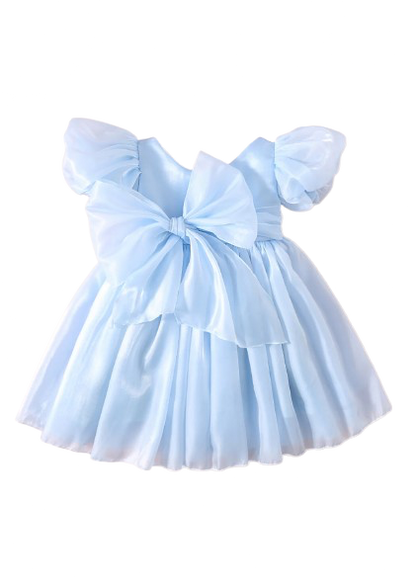 Carolina Organza Dress- Blue