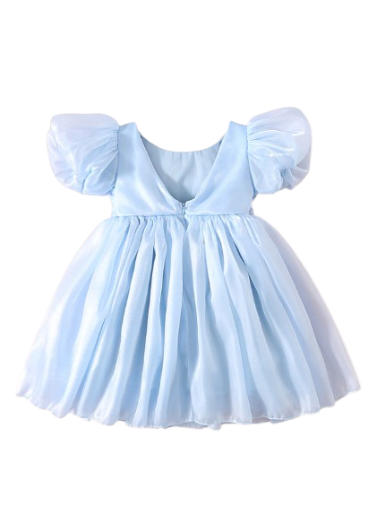 Carolina Organza Dress- Blue