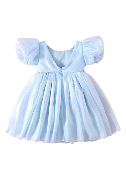 Carolina Organza Dress- Blue