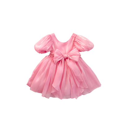 Carolina Organza Dress- Pink