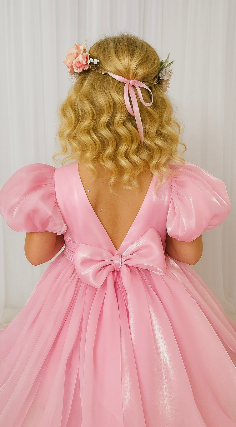 Carolina Organza Dress- Pink