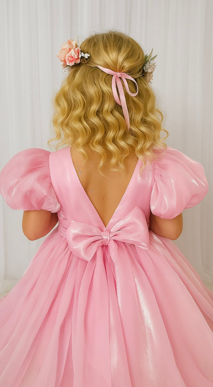 Carolina Organza Dress- Pink